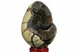 Septarian Dragon Egg Geode - Black Crystals #157300-1